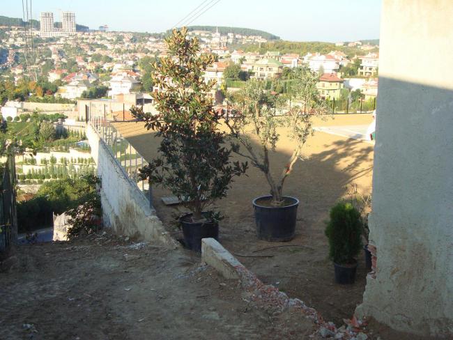 Name:  N. Peyzaj Resim 180.jpg
Views: 2358
Size:  62.1 KB