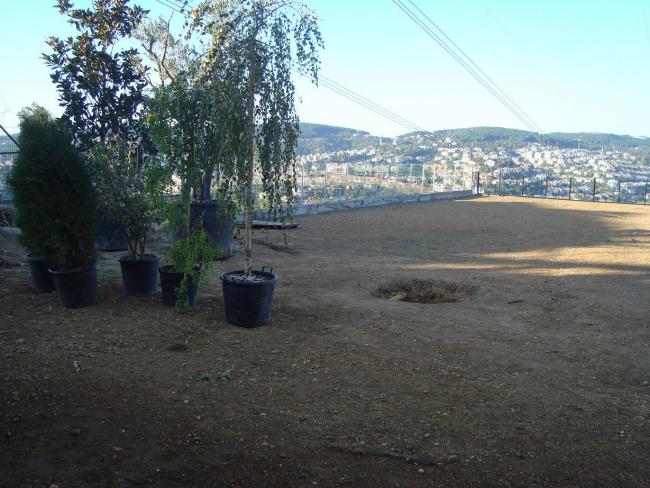 Name:  N. Peyzaj Resim 181.jpg
Views: 2408
Size:  58.8 KB