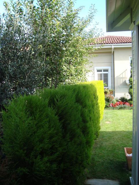 Name:  N. Peyzaj Resim 213.jpg
Views: 2524
Size:  72.6 KB