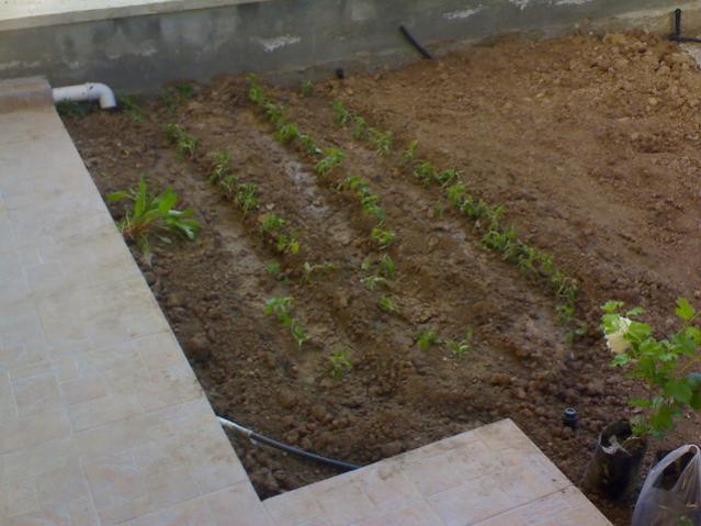 Name:  14 vana.jpg
Views: 18479
Size:  44.2 KB