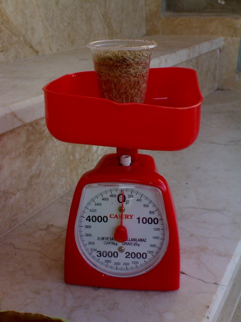 Name:  17 l.JPG
Views: 18663
Size:  64.9 KB