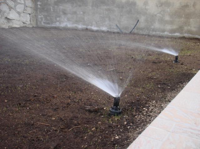 Name:  DSC02595.jpg
Views: 18421
Size:  44.6 KB