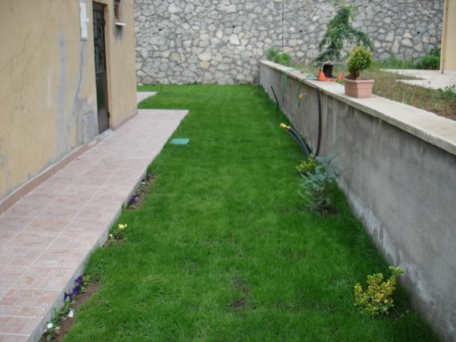 Name:  DSC02647.jpg
Views: 18371
Size:  44.1 KB