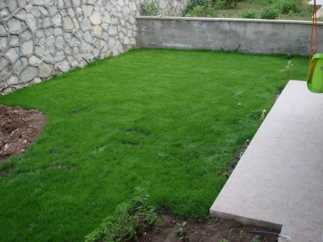 Name:  DSC02659.jpg
Views: 18958
Size:  45.3 KB
