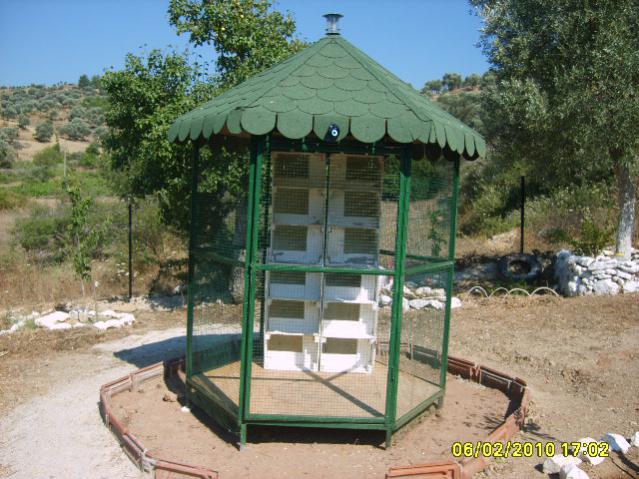 Name:  S5001167.jpg
Views: 3104
Size:  64.6 KB