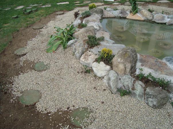 Name:  N. Peyzaj Resim 230.jpg
Views: 2720
Size:  70.5 KB