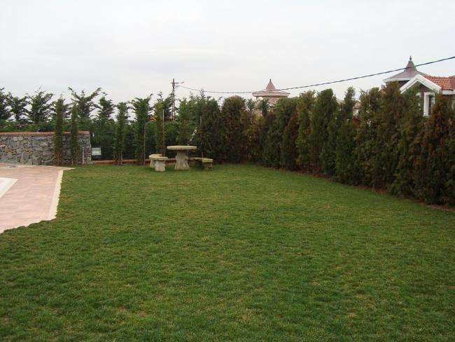 Name:  N. Peyzaj Resim 244.jpg
Views: 1736
Size:  49.6 KB