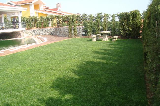 Name:  N. Peyzaj Resim 246.jpg
Views: 1876
Size:  58.5 KB