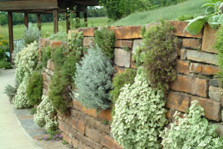 Name:  main herb rock wall.jpg
Views: 34645
Size:  32.8 KB