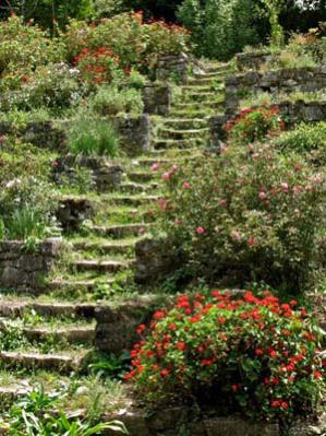 Name:  Gen Barrios stepped garden stairs.jpg
Views: 7726
Size:  37.2 KB