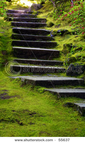 Name:  stock-photo-japanese-garden-stairs-55637.jpg
Views: 8082
Size:  58.3 KB