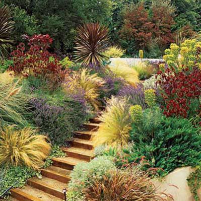 Name:  sunsetgardenpath.jpg
Views: 7089
Size:  47.2 KB