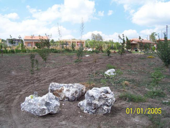 Name:  N. Peyzaj Resim 259.jpg
Views: 2036
Size:  62.9 KB