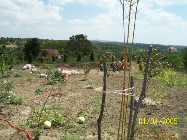 Name:  N. Peyzaj Resim 260.jpg
Views: 1799
Size:  70.4 KB