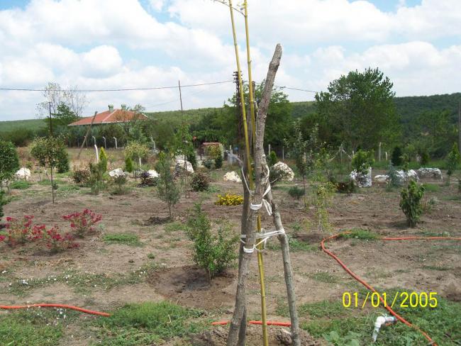 Name:  N. Peyzaj Resim 262.jpg
Views: 1896
Size:  67.3 KB