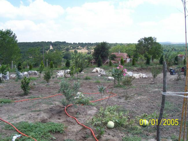 Name:  N. Peyzaj Resim 263.jpg
Views: 1784
Size:  63.4 KB