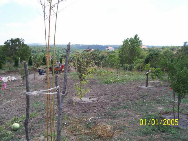 Name:  N. Peyzaj Resim 264.jpg
Views: 1806
Size:  60.7 KB