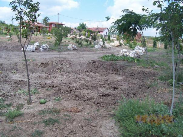 Name:  N. Peyzaj Resim 265.jpg
Views: 1815
Size:  70.6 KB