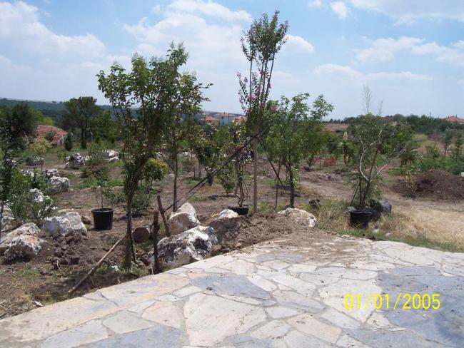 Name:  N. Peyzaj Resim 278.jpg
Views: 1942
Size:  65.9 KB