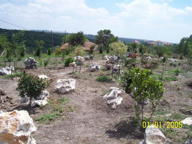 Name:  N. Peyzaj Resim 280.jpg
Views: 2040
Size:  70.6 KB