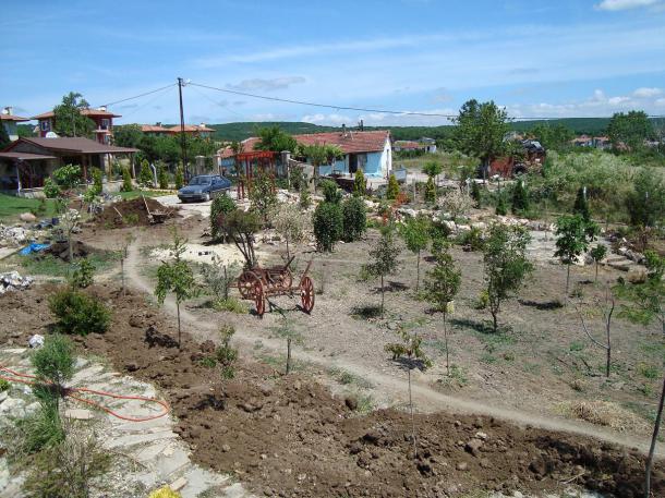 Name:  N. Peyzaj Resim 306.jpg
Views: 1820
Size:  70.6 KB