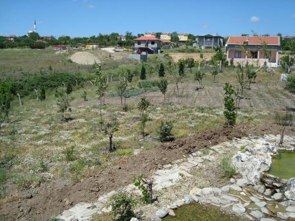 Name:  N. Peyzaj Resim 309.jpg
Views: 1707
Size:  70.3 KB