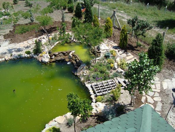 Name:  N. Peyzaj Resim 313.jpg
Views: 2359
Size:  70.8 KB