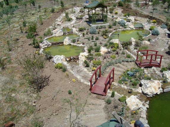 Name:  N. Peyzaj Resim 316.jpg
Views: 2228
Size:  69.8 KB