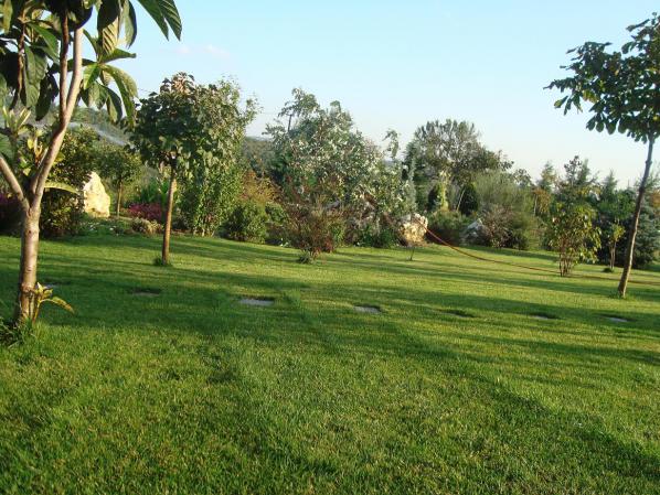 Name:  N. Peyzaj Resim 318.jpg
Views: 2432
Size:  70.7 KB