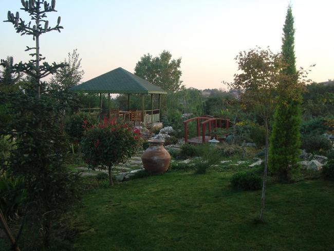 Name:  N. Peyzaj Resim 319.jpg
Views: 2261
Size:  48.0 KB