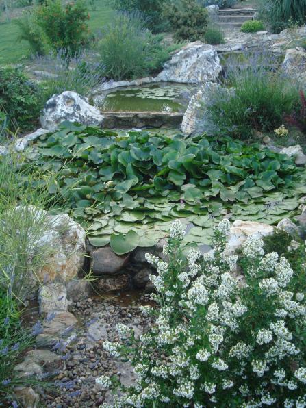 Name:  N. Peyzaj Resim 331.jpg
Views: 2133
Size:  75.9 KB