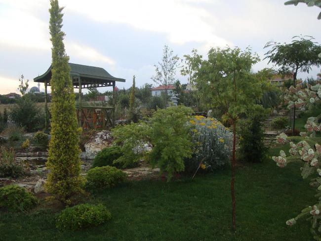 Name:  N. Peyzaj Resim 332.jpg
Views: 2205
Size:  52.5 KB