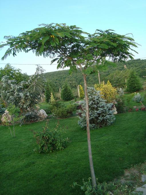 Name:  N. Peyzaj Resim 340.jpg
Views: 2578
Size:  70.9 KB