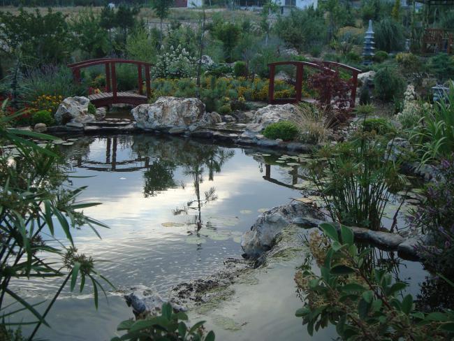 Name:  N. Peyzaj Resim 342.jpg
Views: 1516
Size:  69.8 KB