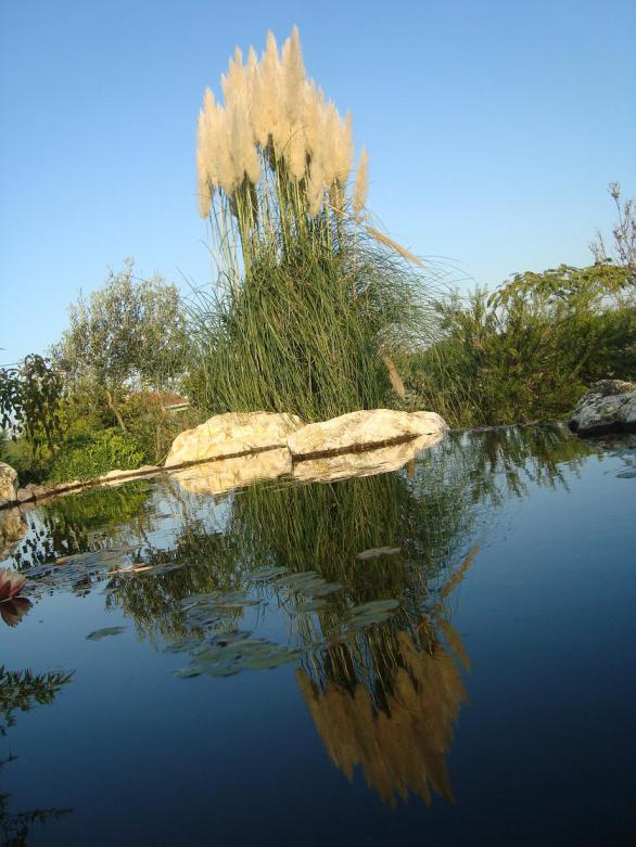 Name:  N. Peyzaj Resim 345.jpg
Views: 1556
Size:  70.5 KB