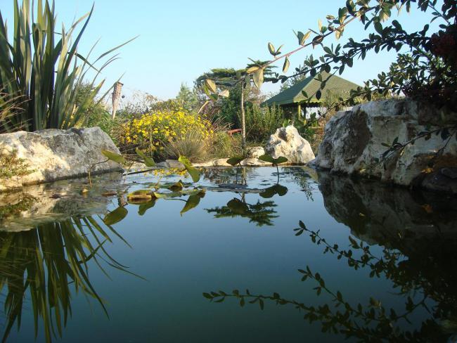 Name:  N. Peyzaj Resim 346.jpg
Views: 1582
Size:  62.7 KB