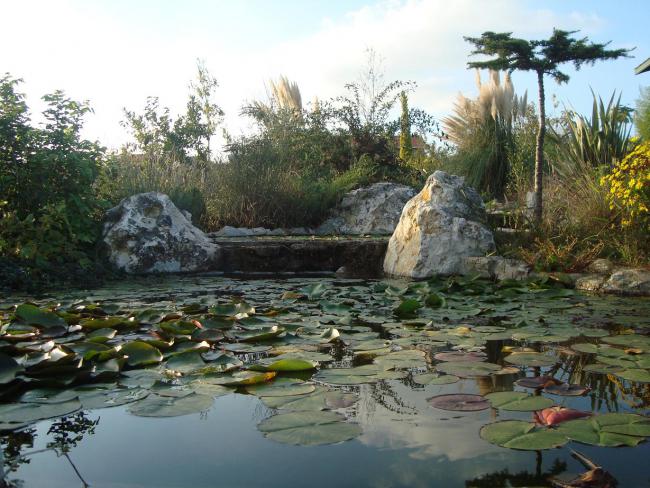 Name:  N. Peyzaj Resim 348.jpg
Views: 1551
Size:  65.8 KB
