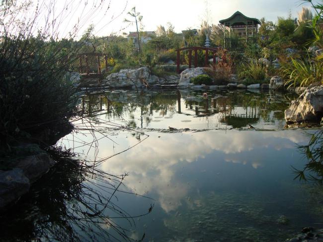 Name:  N. Peyzaj Resim 352.jpg
Views: 1509
Size:  60.1 KB