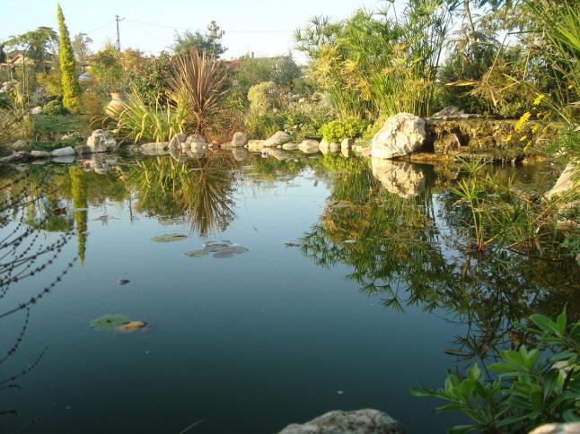 Name:  N. Peyzaj Resim 355.jpg
Views: 1484
Size:  70.1 KB