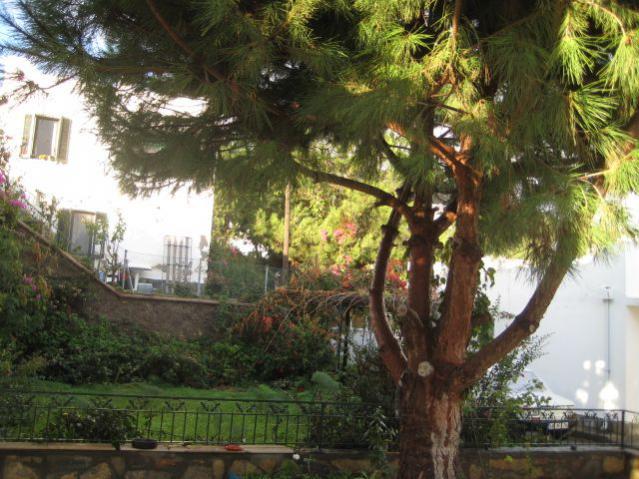Name:  IMG_1676.jpg
Views: 3999
Size:  63.9 KB