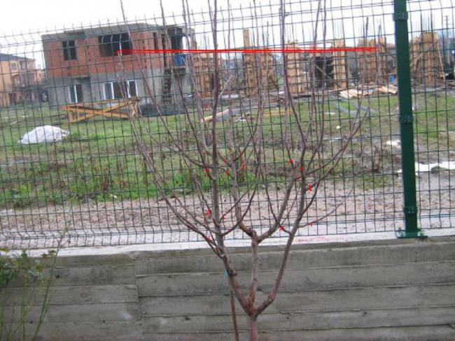 Name:  Resim%20011.jpg
Views: 13482
Size:  64.9 KB