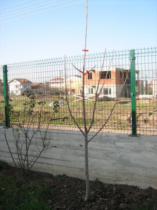 Name:  Resim%20015.jpg
Views: 3590
Size:  61.8 KB