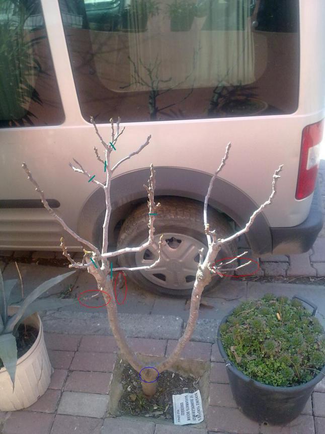 Name:  050220113101.jpg
Views: 3418
Size:  69.8 KB