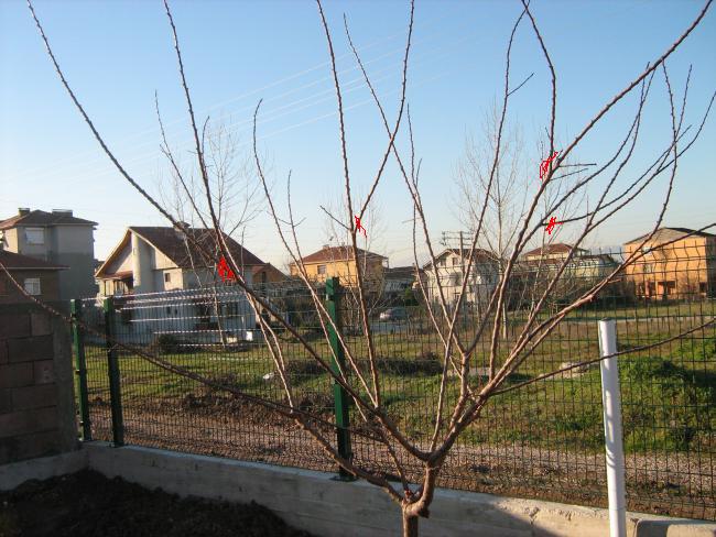 Name:  Resim%20003.jpg
Views: 4851
Size:  66.3 KB