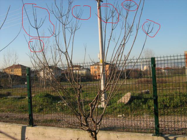 Name:  Resim%20006.jpg
Views: 3231
Size:  62.8 KB