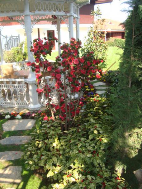 Name:  N. Peyzaj Resim 374.jpg
Views: 1712
Size:  64.9 KB
