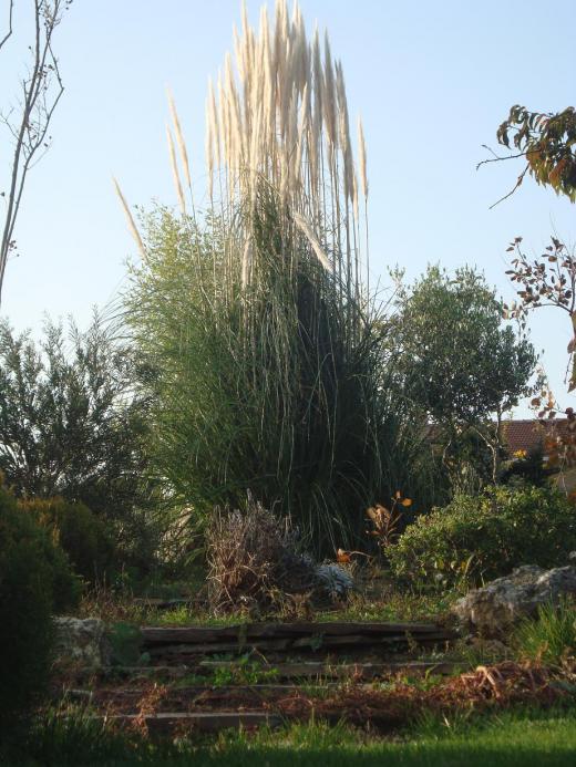 Name:  Budama bakm 76.jpg
Views: 1914
Size:  72.2 KB