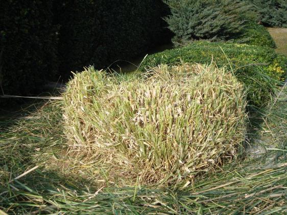 Name:  Budama bakm 78.jpg
Views: 2093
Size:  71.1 KB