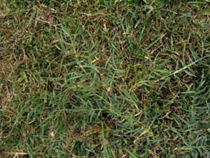 Name:  27agustos 003.JPG
Views: 13161
Size:  69.3 KB