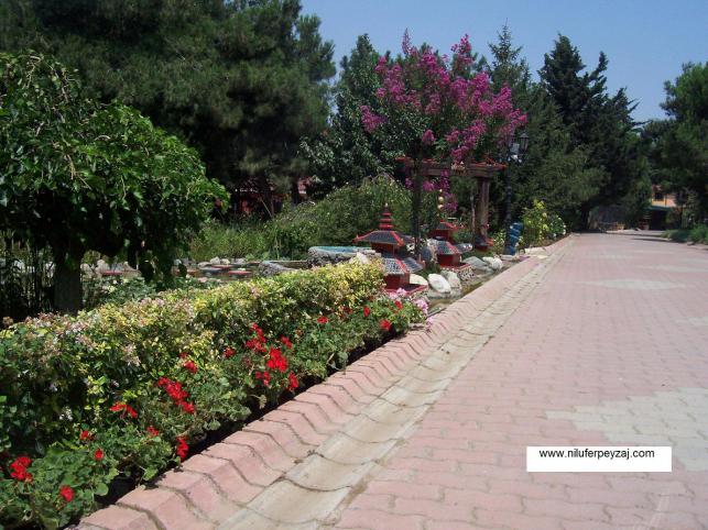 Name:  N. Peyzaj Resim 392.jpg
Views: 1659
Size:  70.5 KB